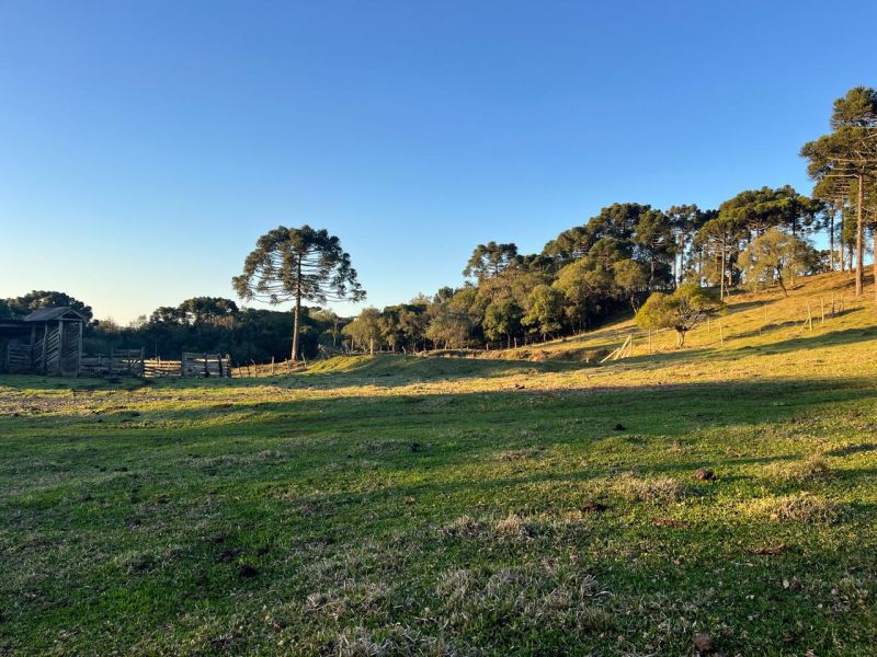 Chacara 3 quartos  no bairro CDL em CAPAO ALTO
