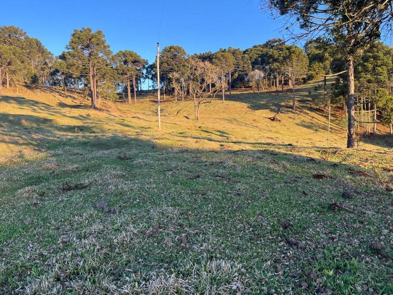 Chacara 3 quartos  no bairro CDL em CAPAO ALTO