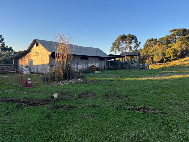Chacara 3 quartos  no bairro CDL em CAPAO ALTO
