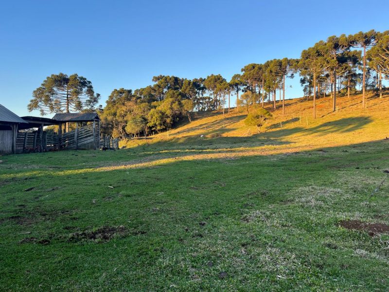 Chacara 3 quartos  no bairro CDL em CAPAO ALTO