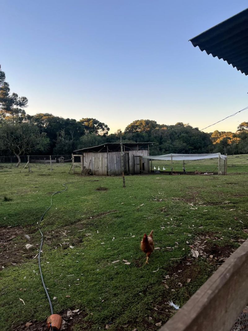 Chacara 3 quartos  no bairro CDL em CAPAO ALTO