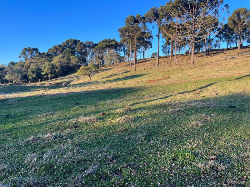 Chacara 3 quartos  no bairro CDL em CAPAO ALTO