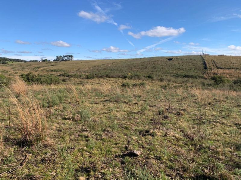 TERRENO RURAL - Chapada - Lages