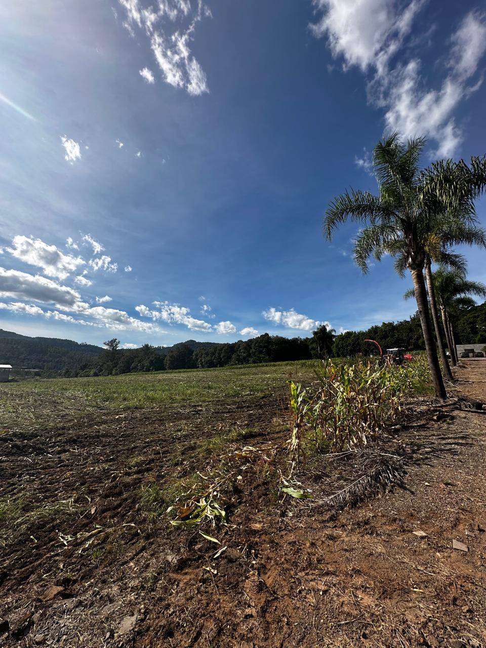TERRENO no bairro Lambari em ENCANTADO