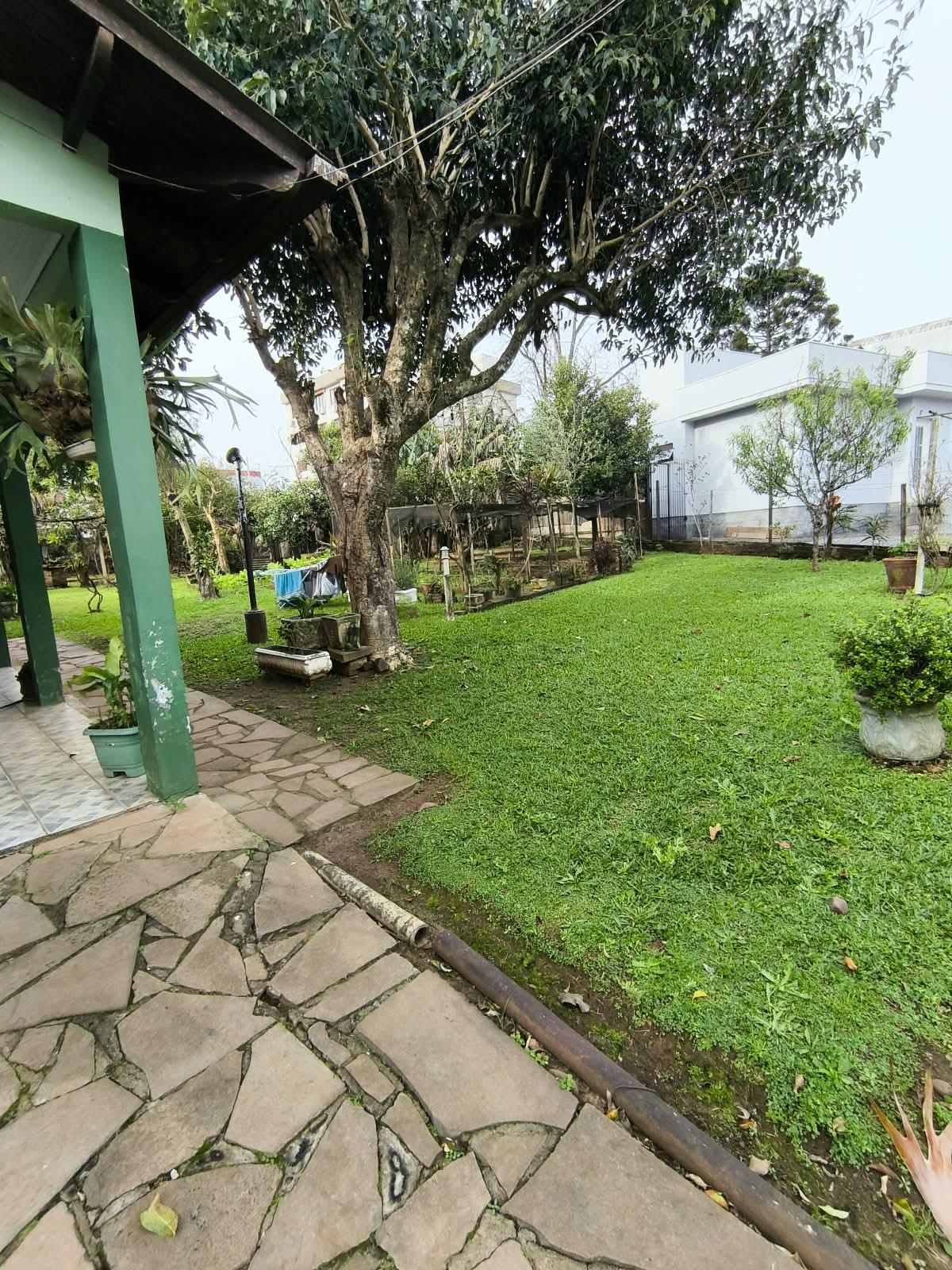 Ver mais fotos