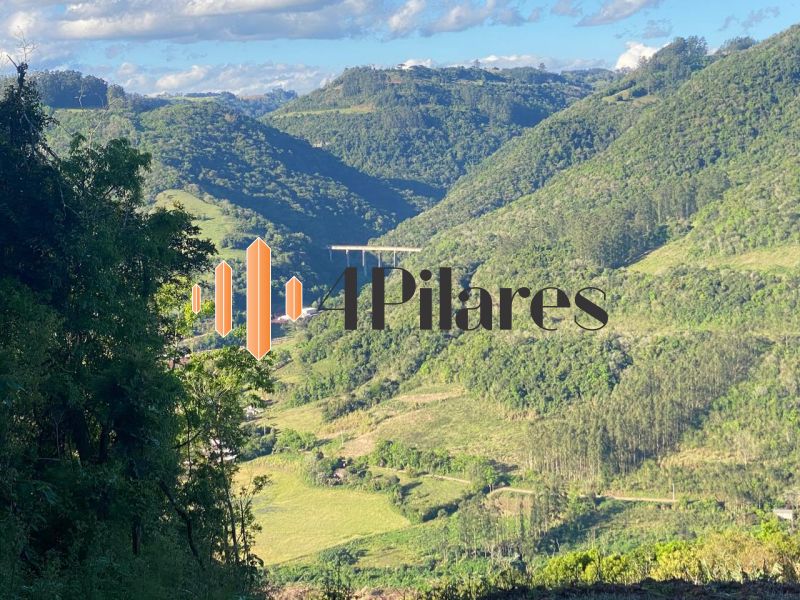ÁREA DE TERRAS no bairro Interior em Doutor Ricardo