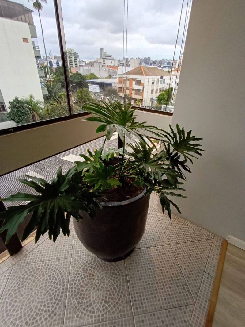 Apto 1 quarto  no bairro FARROUPILHA em