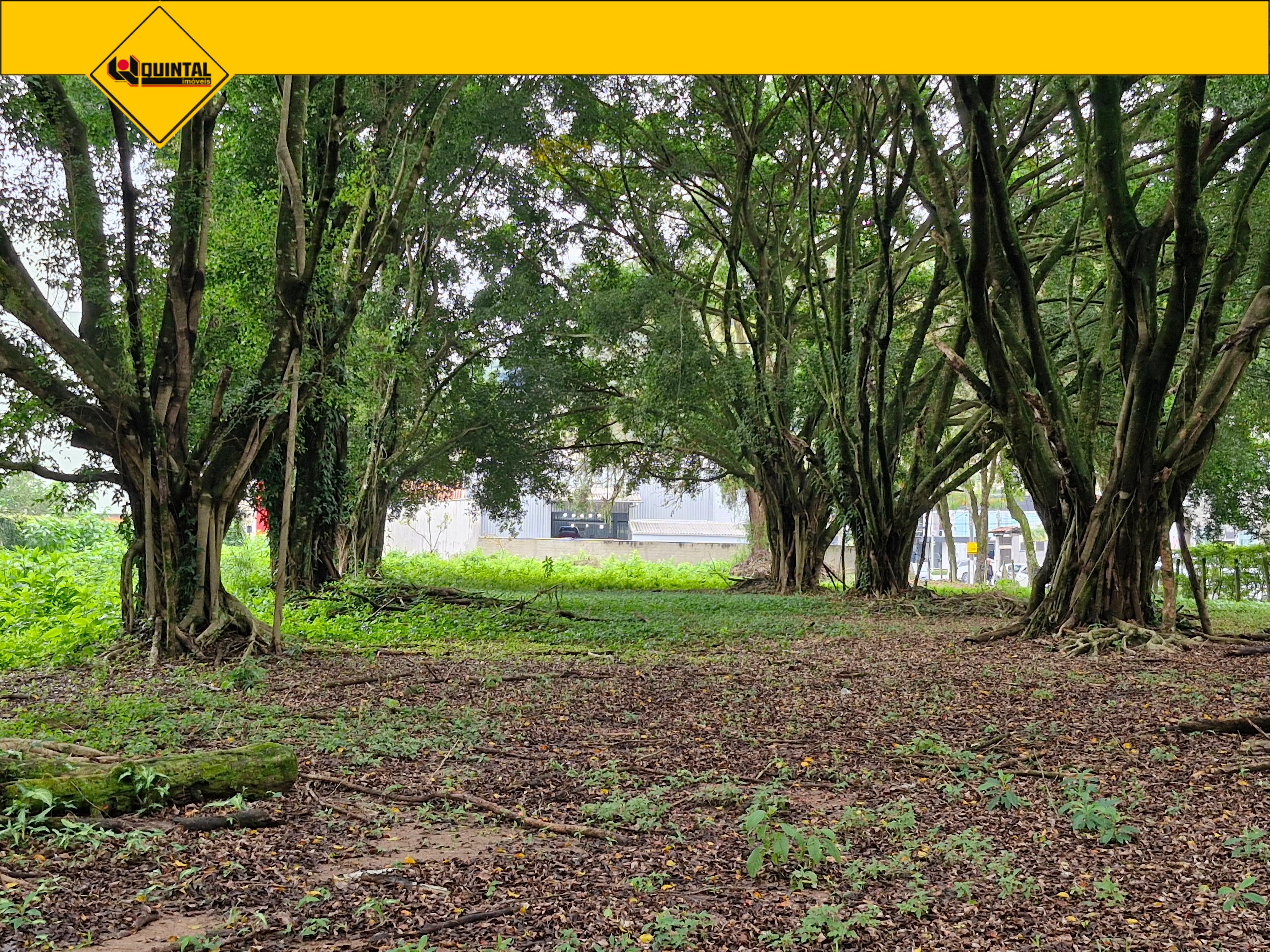 TERRENO - Garcia - Blumenau