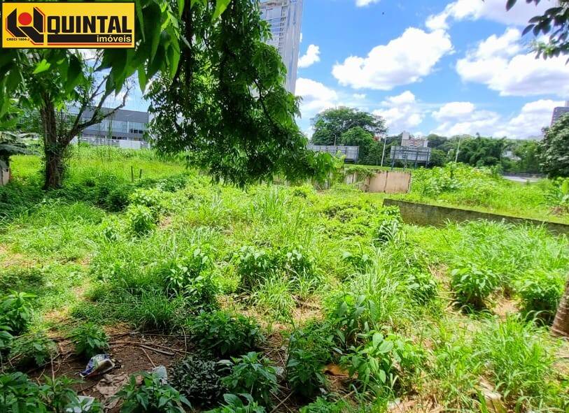 TERRENO - Centro - Blumenau