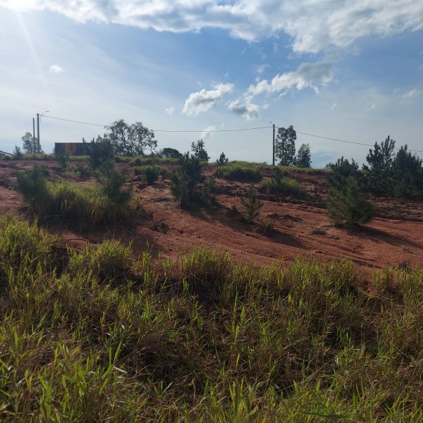TERRENO - Mundo Novo - Taquara