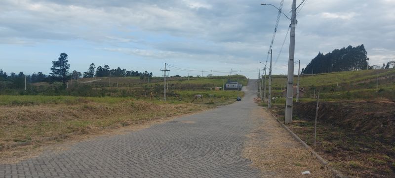 TERRENO - Ideal - Taquara
