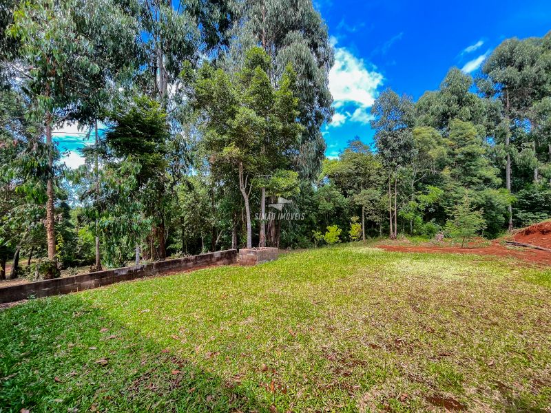 Casa 1 quarto  em ERECHIM