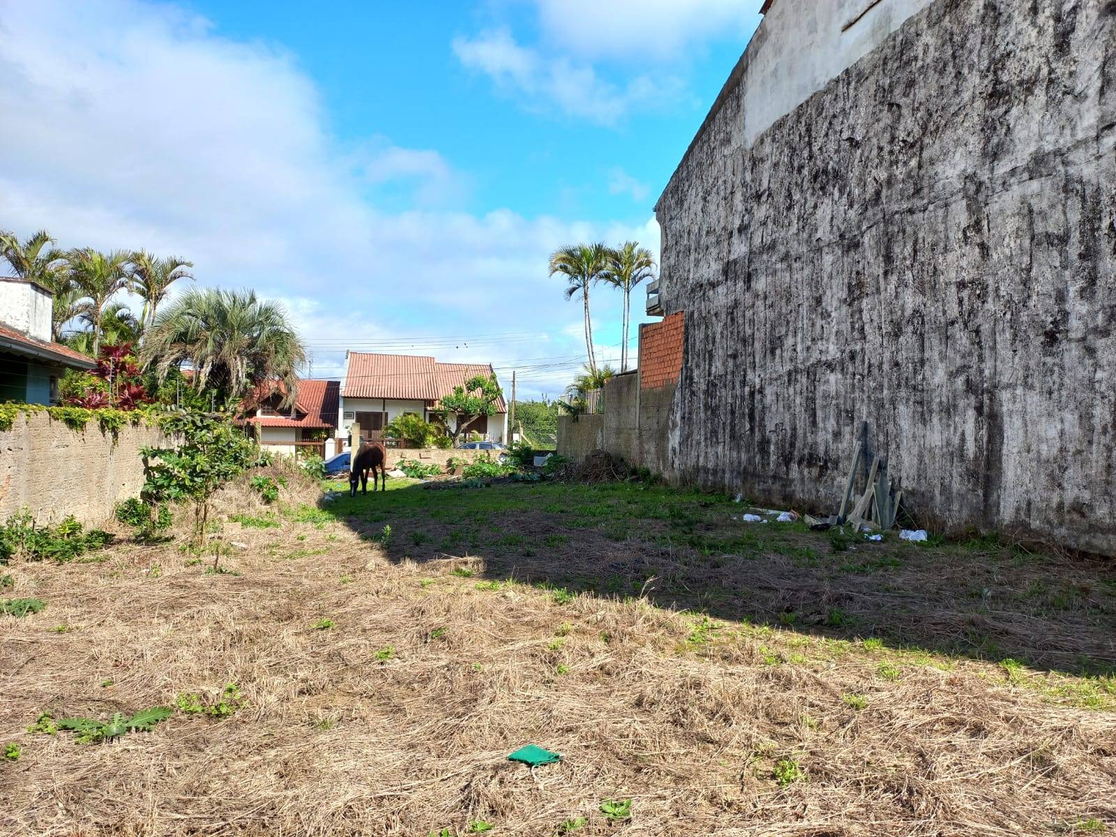 TERRENO - Vila Nova - Porto Alegre