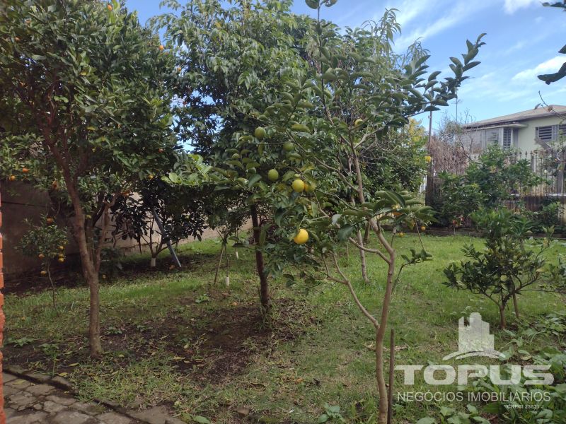 Casa Independente 3 quartos  no bairro RIO BRANCO em CAXIAS DO SUL