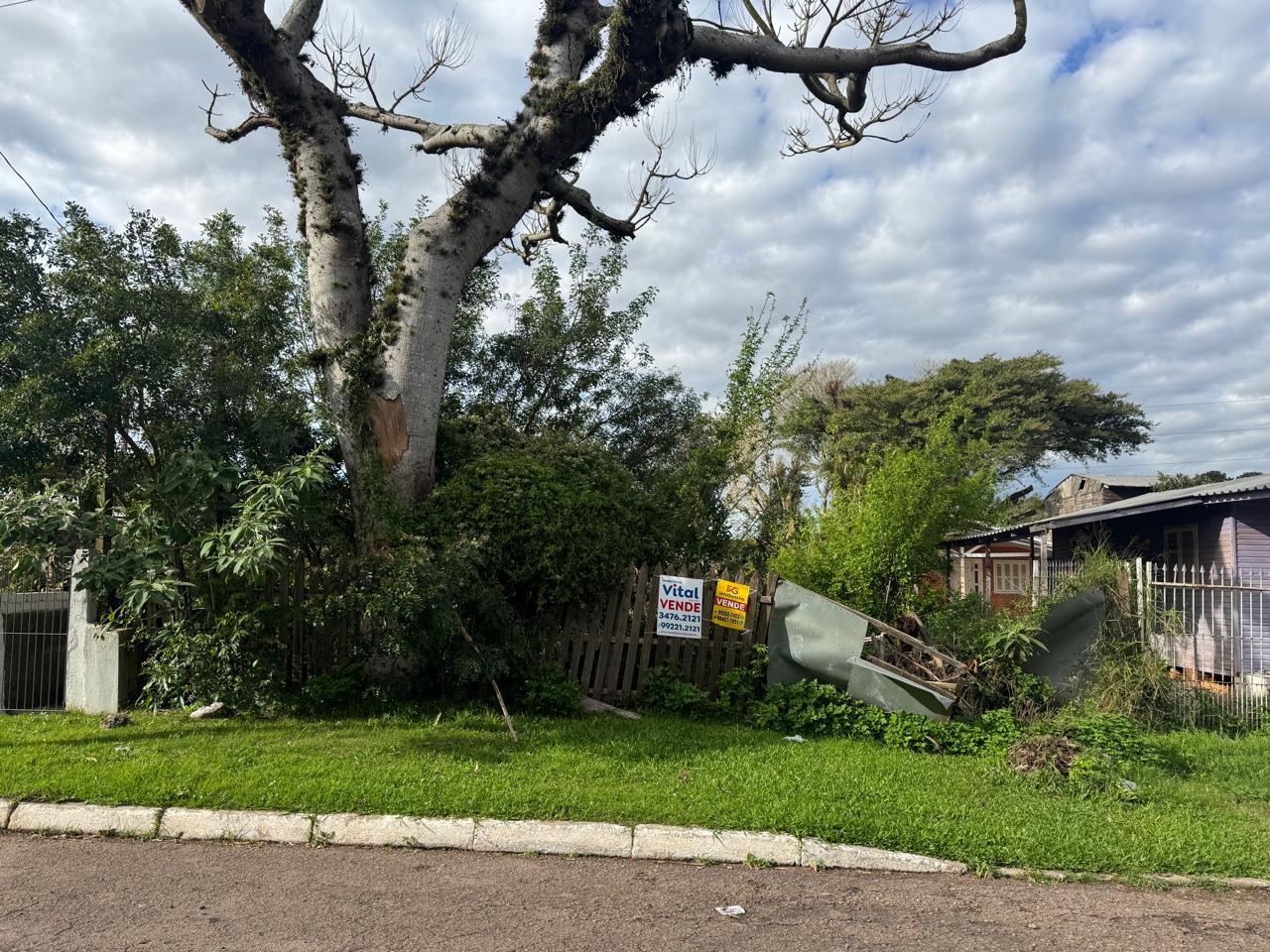 TERRENO - Fatima - Canoas