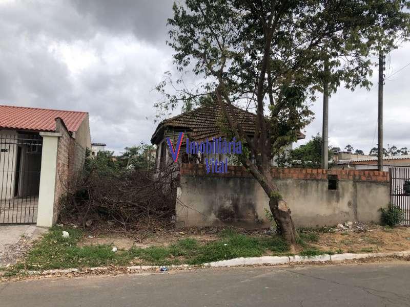 TERRENO - Fatima - Canoas
