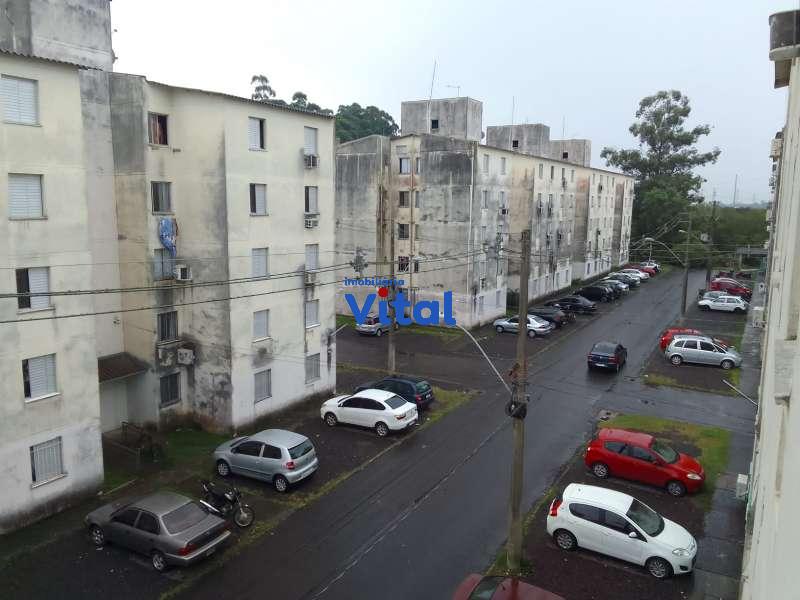 APARTAMENTO - Fatima - Canoas